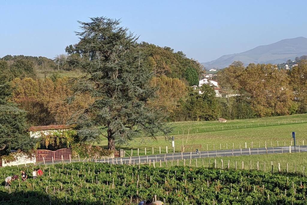 Bol D'air Pur Au Coeur Du Pays Basque Souraïde